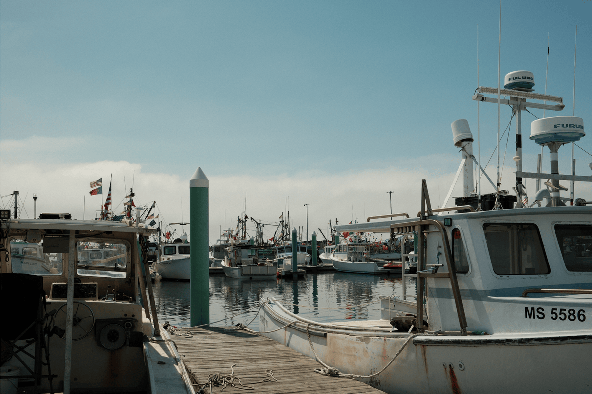 The Harbor Collection