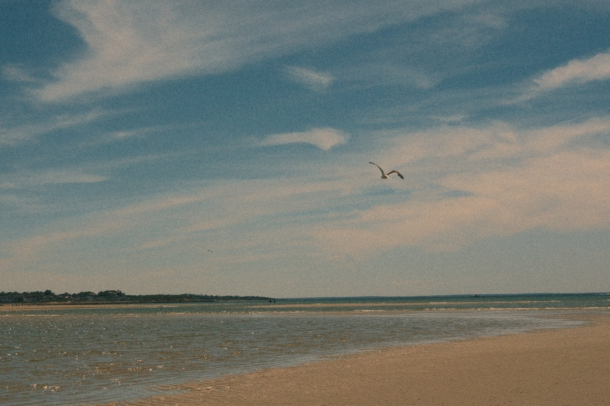 Collection Image